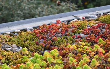 the cost of Denham Corner green roof installation