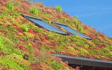 Denham Corner living roof systems